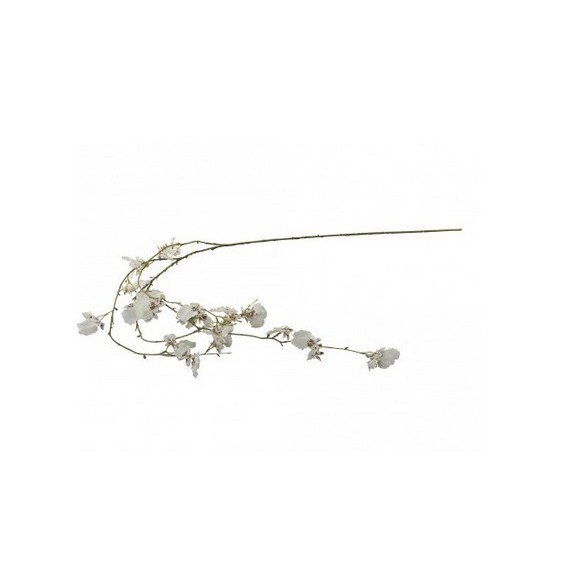 ORCHID FLOWER WHITE ONCIDIUM 