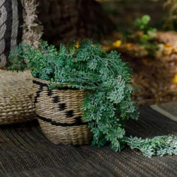 Cesta decorativa elegante y multifuncional