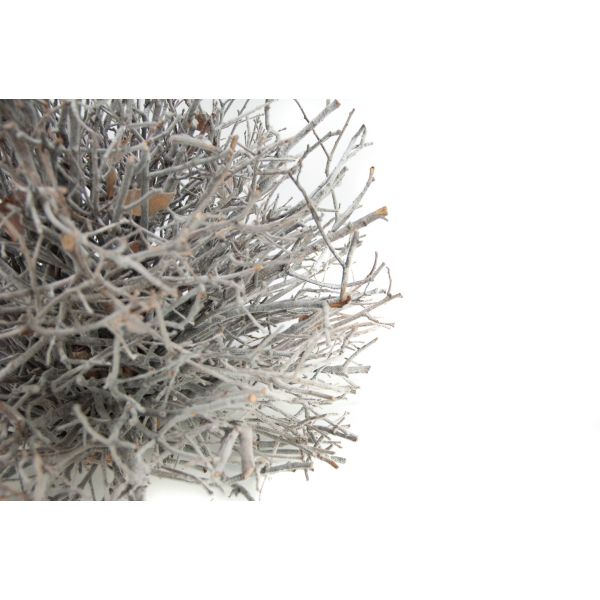 Planta boj ramas secas gris redonda 50x40x50 