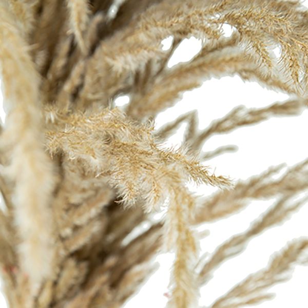 FLOR SECA RAMA DE PLUMAS DE PAMPAS GIGANTES 100X40X210