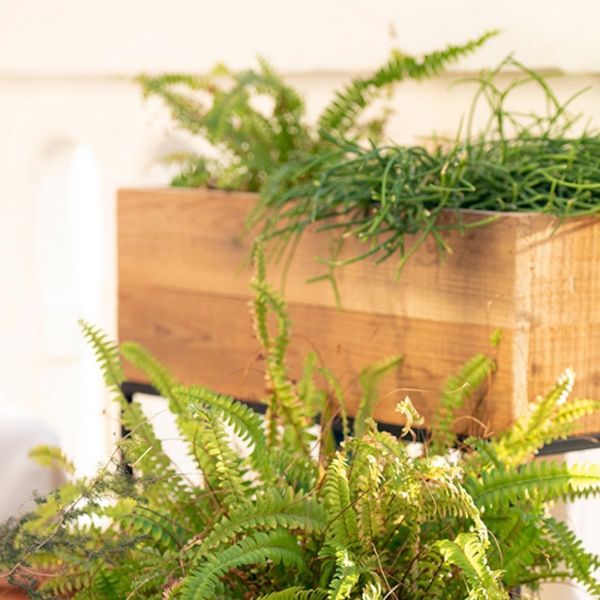 Macetero decorativo para interior y exterior en alta decoración elegante