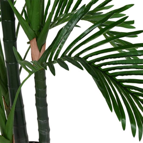 Planta Decorativa de Interior | Frescura Natural