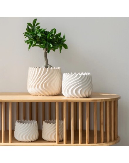 2 Pentola di cemento grigia di 2 13.5X13.5X10.5