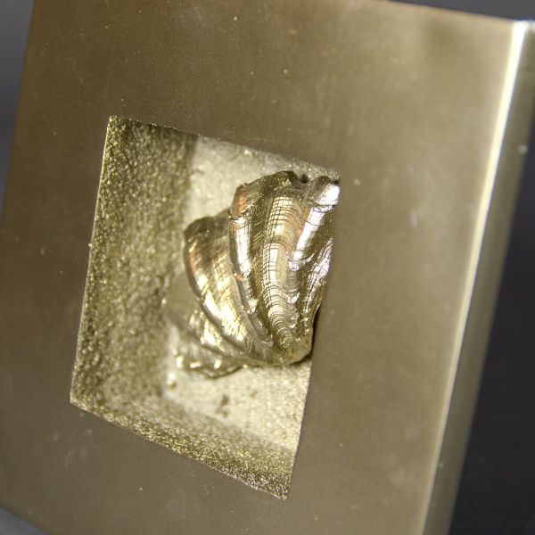 CUADRO DECORATIVO PEQUEÑO CEME TO DORADO ADORNO CONCHA 18X18