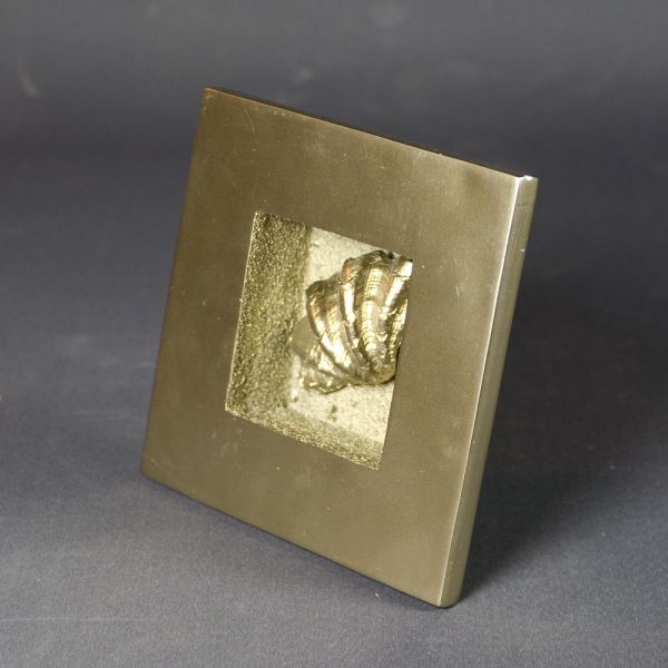 CUADRO DECORATIVO PEQUEÑO CEME TO DORADO ADORNO CONCHA 18X18