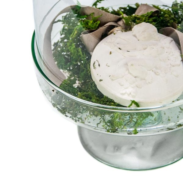 PASTELERO CAMPANA CRISTAL20X29